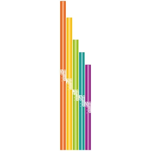 Boomwhackers - bw-5bset 5 delige bas chromatische set