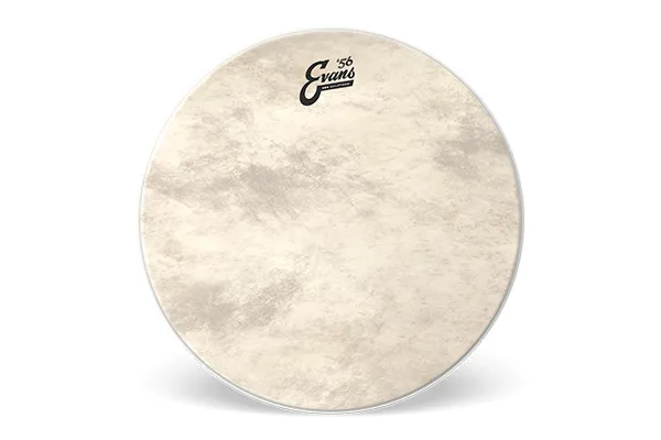 Evans - bd20gb4ct eq4 calftone bass drum head, 20 inch