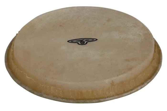 Latin percussion - cp221b bongohead vel hembra, 7 1/4"