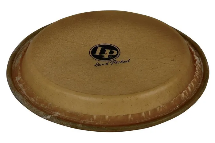 Latin percussion - lp266b congahead vel junior conga, 9"